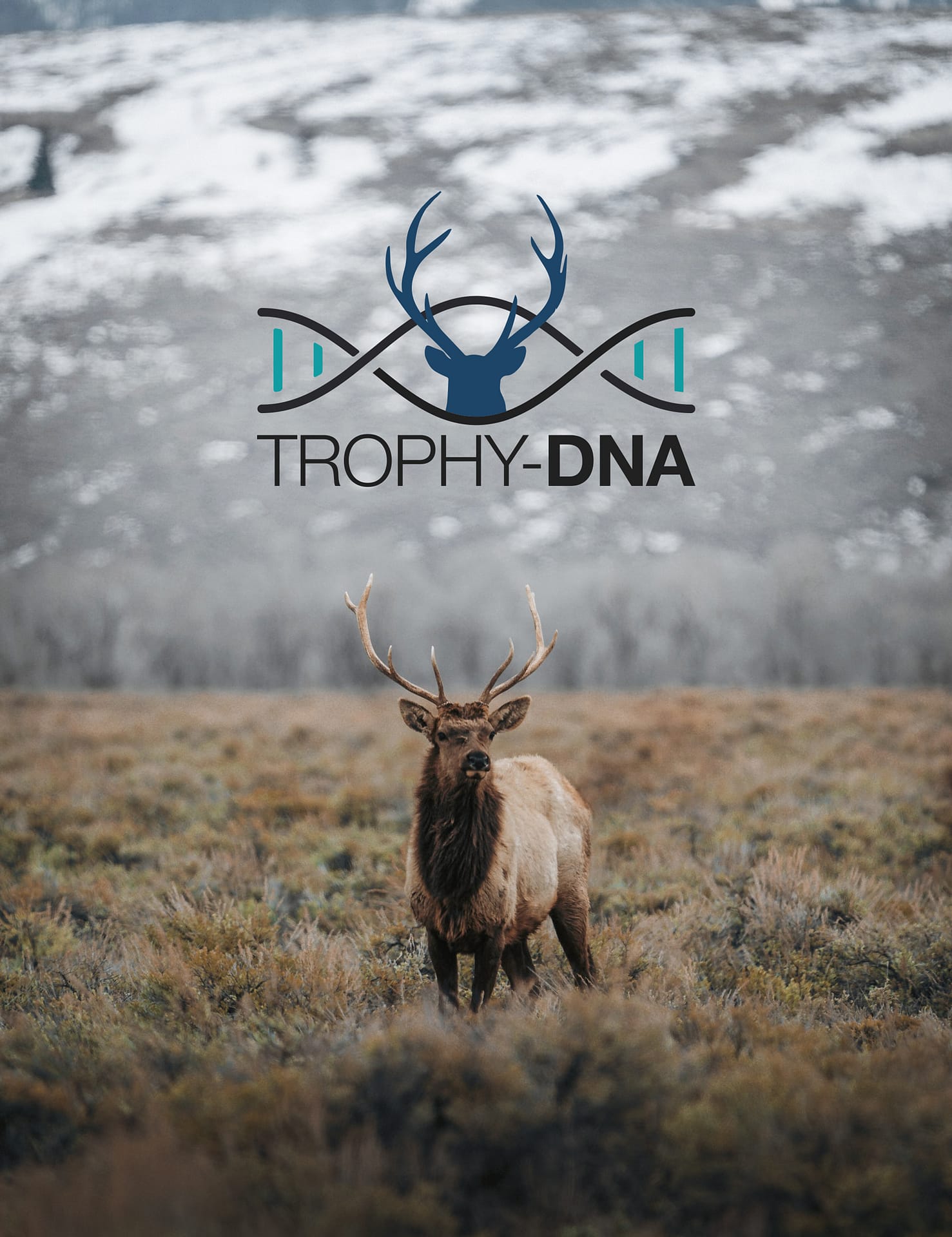 Queerly Creatve TrophyDNA